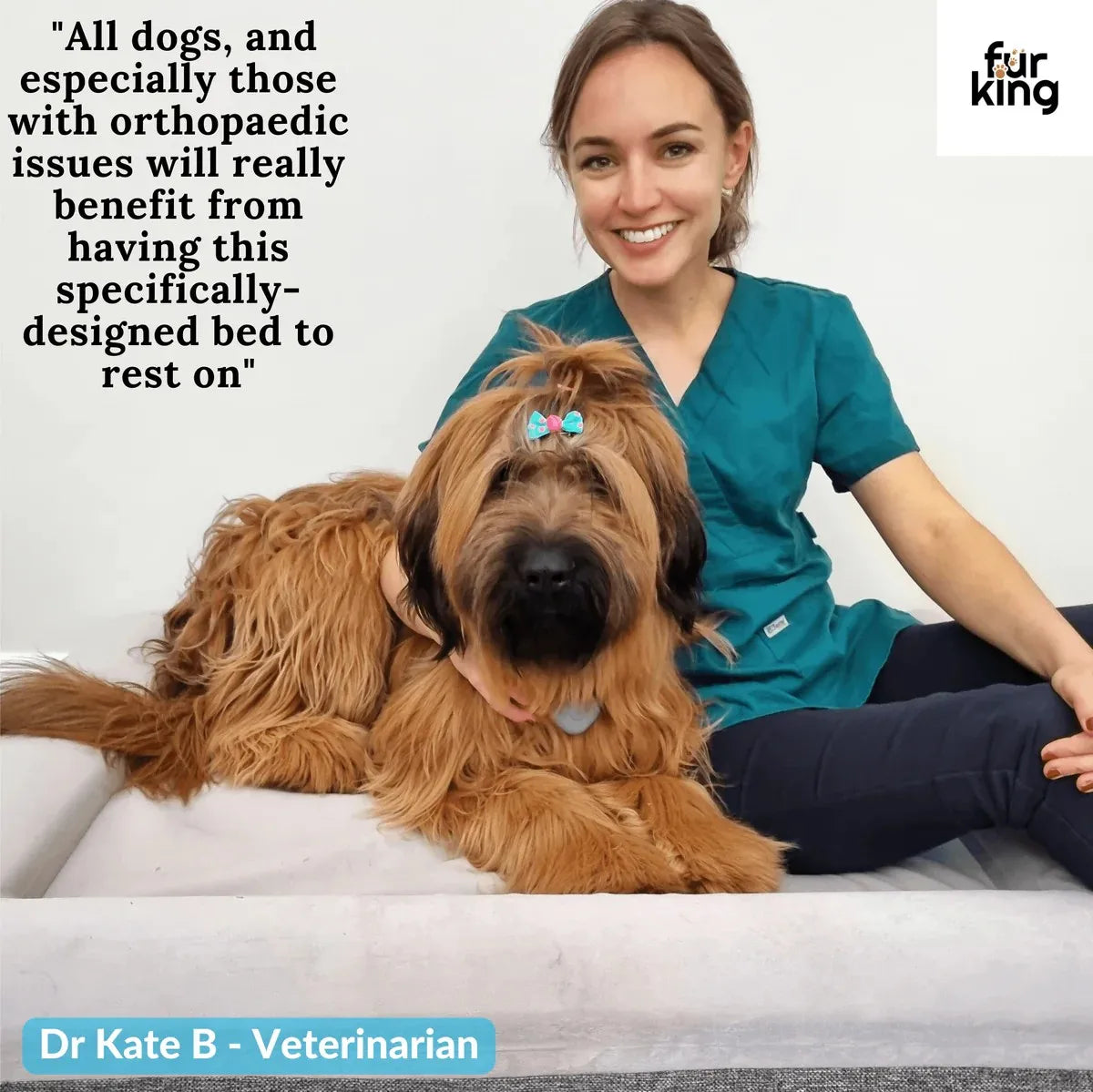 PawNest Relief image 5